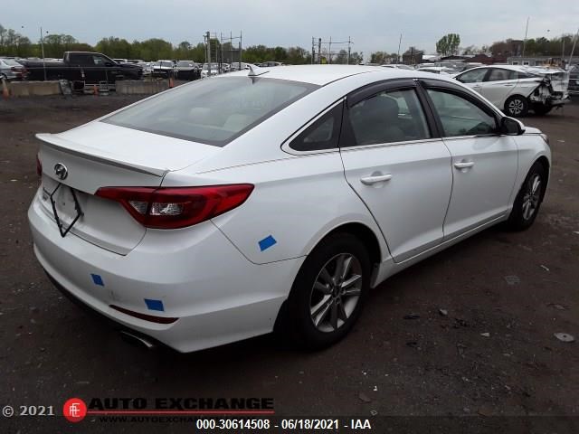 Photo 4 VIN: 5NPE24AFXHH526192 - HYUNDAI SONATA 