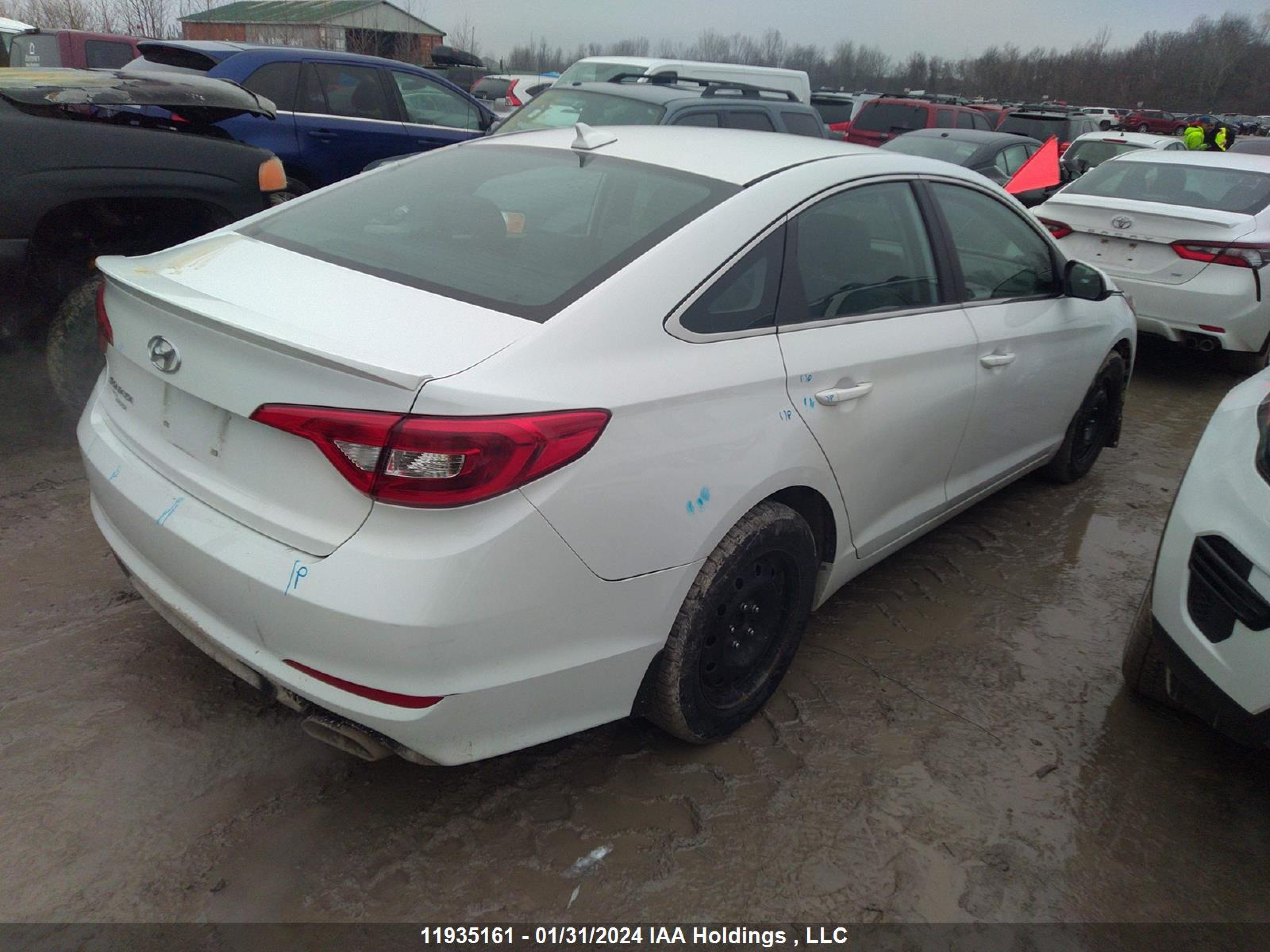 Photo 3 VIN: 5NPE24AFXHH538939 - HYUNDAI SONATA 