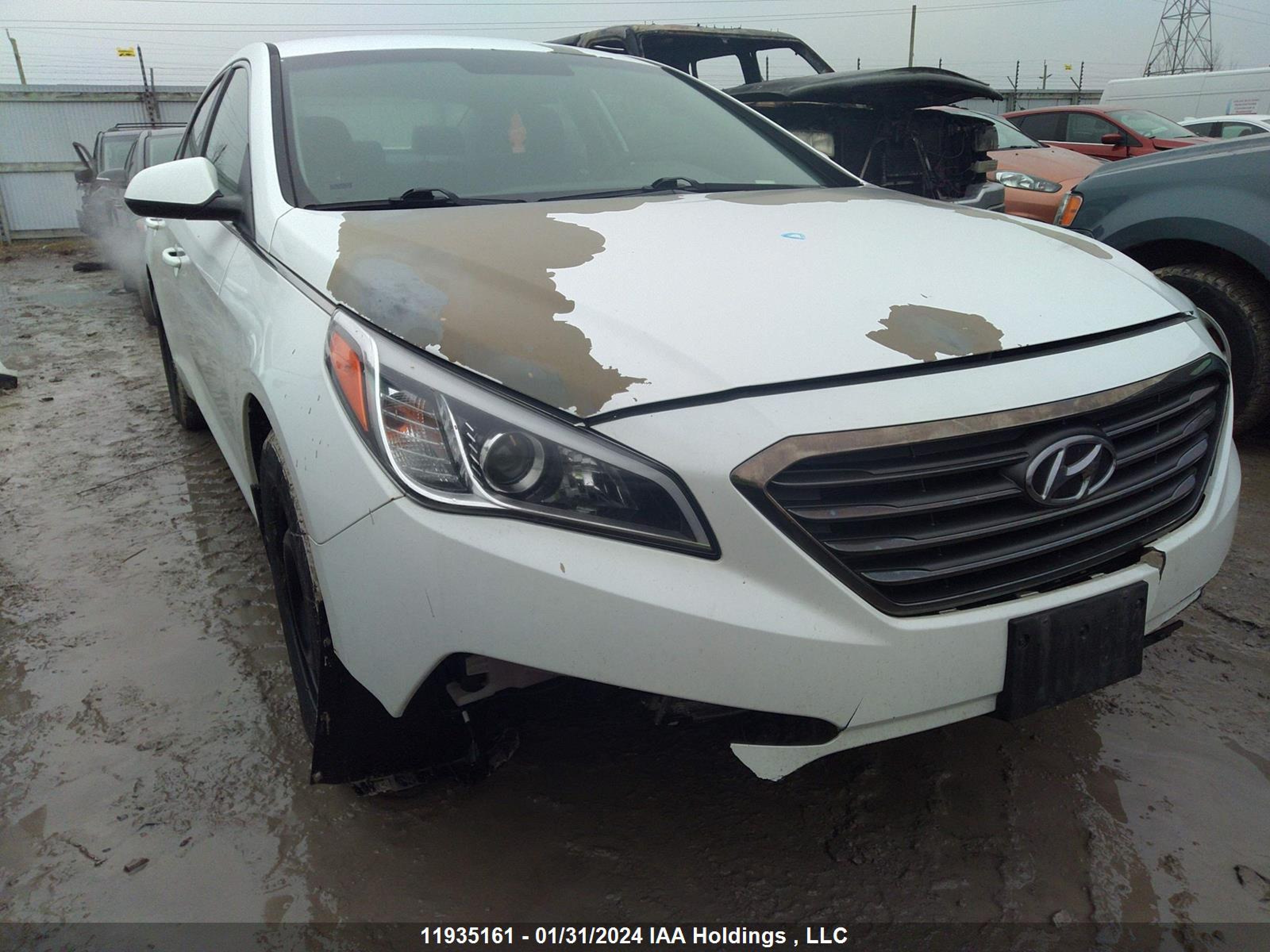 Photo 5 VIN: 5NPE24AFXHH538939 - HYUNDAI SONATA 