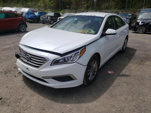 Photo 1 VIN: 5NPE24AFXHH543171 - HYUNDAI SONATA SE 