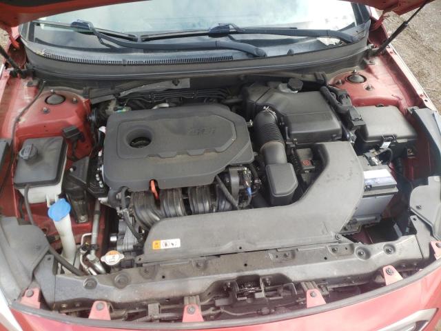 Photo 10 VIN: 5NPE24AFXHH553652 - HYUNDAI SONATA SE 