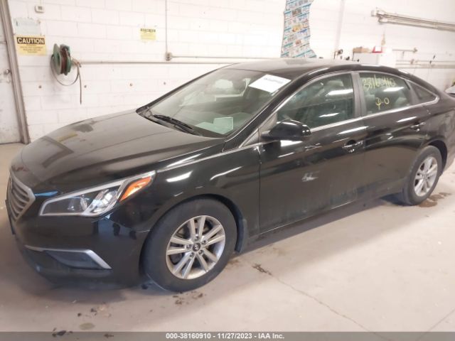 Photo 1 VIN: 5NPE24AFXHH568765 - HYUNDAI SONATA 