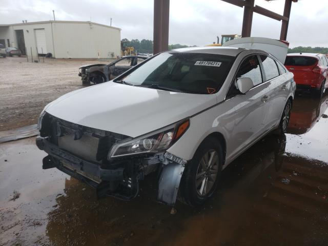 Photo 1 VIN: 5NPE24AFXHH569687 - HYUNDAI SONATA SE 