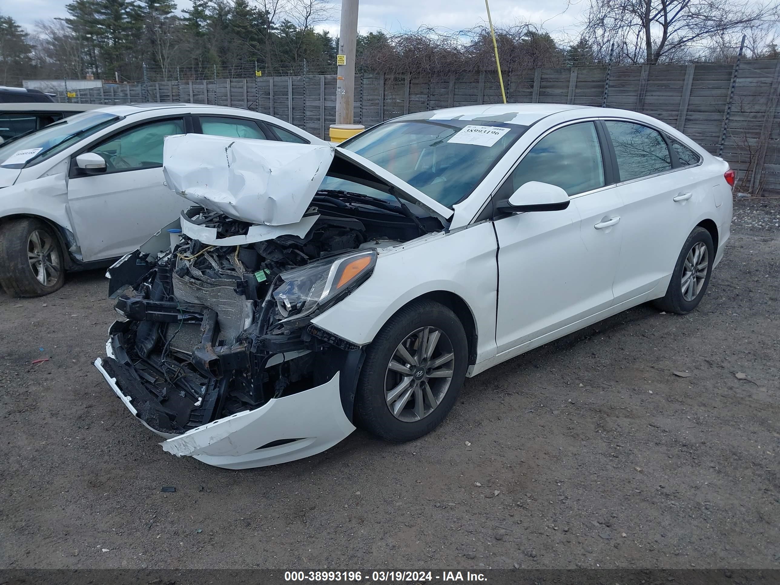 Photo 1 VIN: 5NPE24AFXHH578390 - HYUNDAI SONATA 