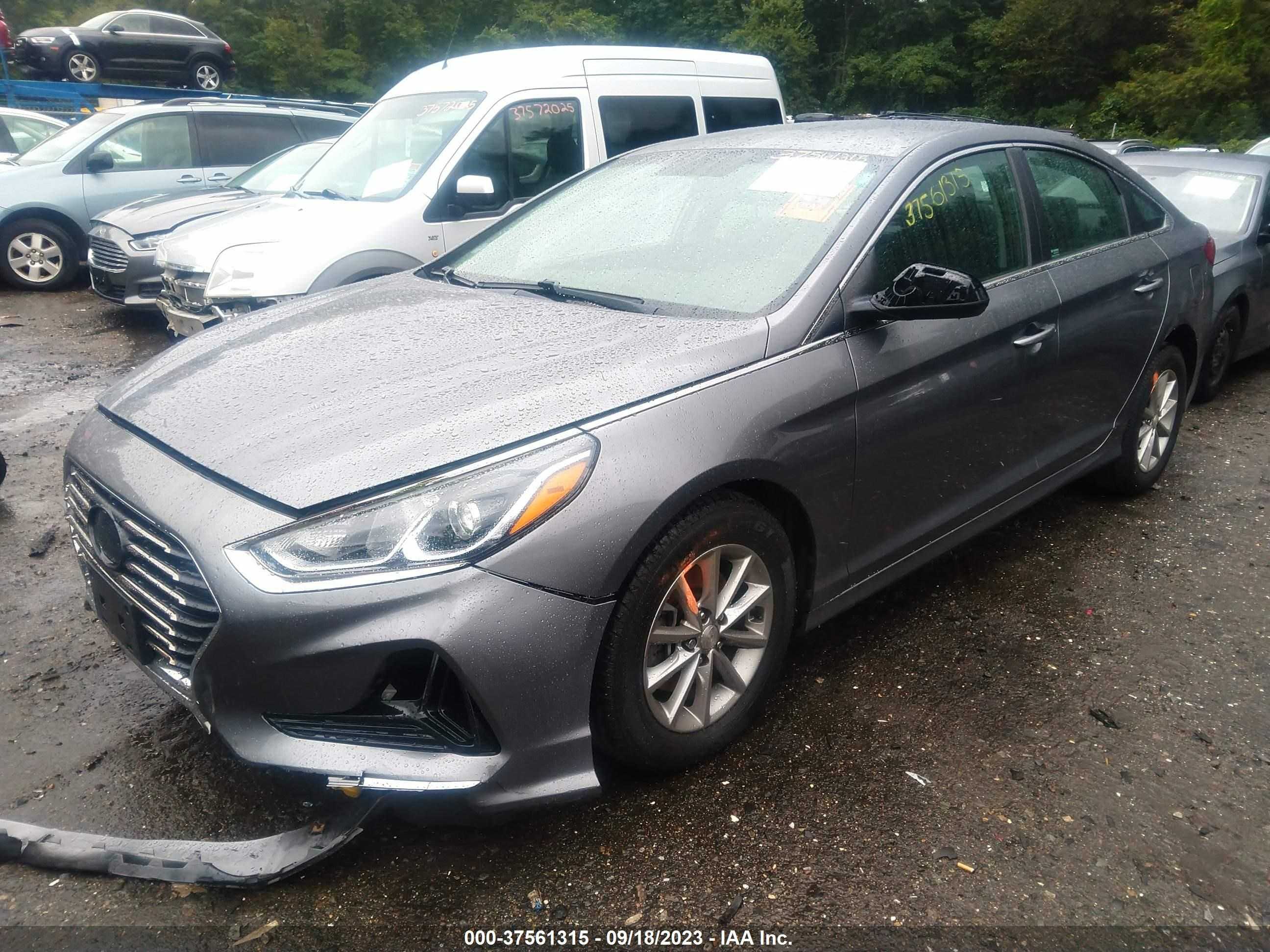 Photo 1 VIN: 5NPE24AFXJH663476 - HYUNDAI SONATA 