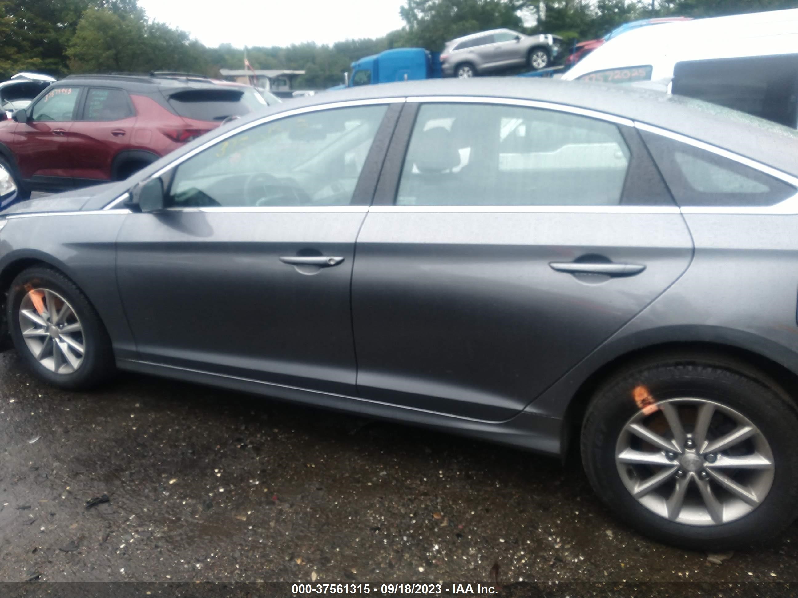 Photo 13 VIN: 5NPE24AFXJH663476 - HYUNDAI SONATA 