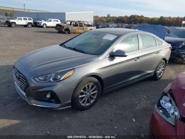 Photo 1 VIN: 5NPE24AFXJH677409 - HYUNDAI SONATA 