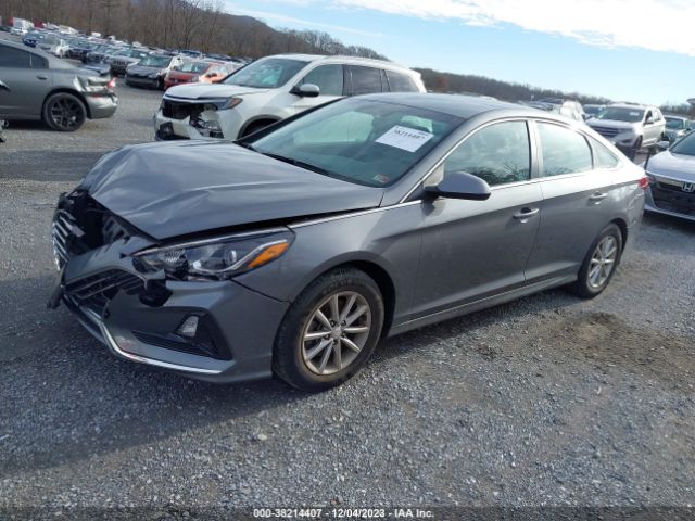 Photo 1 VIN: 5NPE24AFXJH699085 - HYUNDAI SONATA 