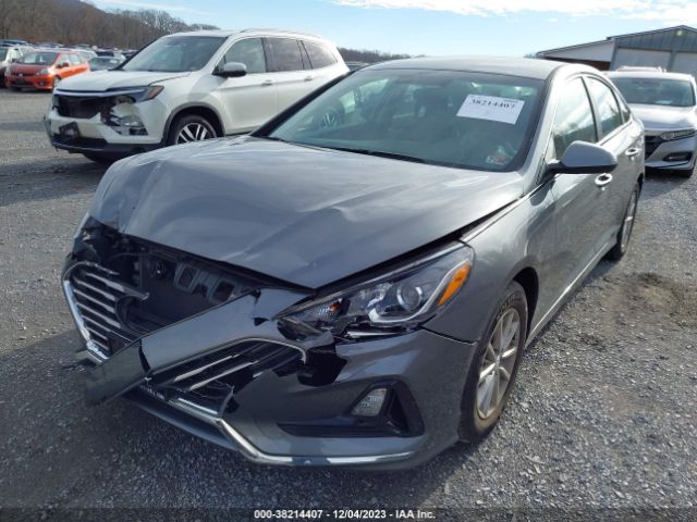 Photo 5 VIN: 5NPE24AFXJH699085 - HYUNDAI SONATA 