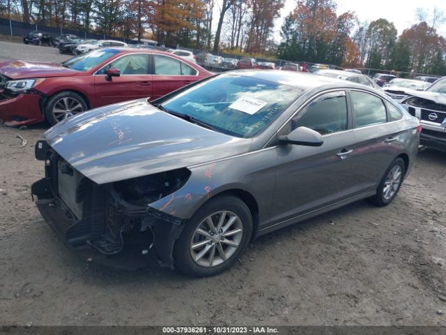 Photo 1 VIN: 5NPE24AFXJH708464 - HYUNDAI SONATA 