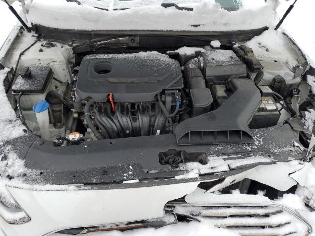 Photo 10 VIN: 5NPE24AFXKH734029 - HYUNDAI SONATA 