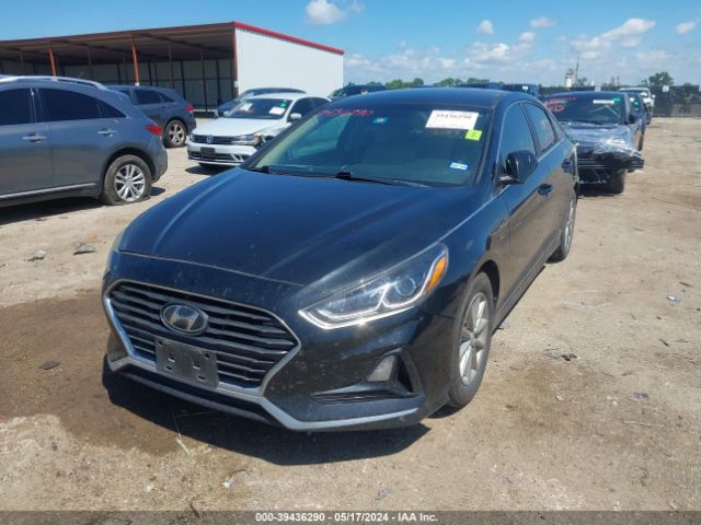 Photo 1 VIN: 5NPE24AFXKH750781 - HYUNDAI SONATA 