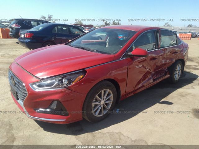 Photo 1 VIN: 5NPE24AFXKH782565 - HYUNDAI SONATA 