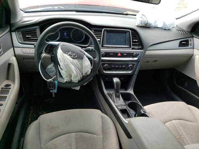 Photo 7 VIN: 5NPE24AFXKH794828 - HYUNDAI SONATA 