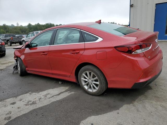 Photo 1 VIN: 5NPE24AFXKH795851 - HYUNDAI SONATA 