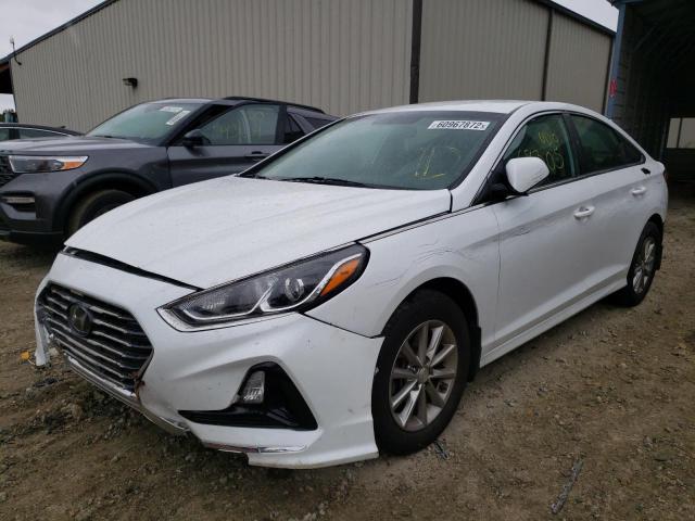 Photo 1 VIN: 5NPE24AFXKH796207 - HYUNDAI SONATA SE 