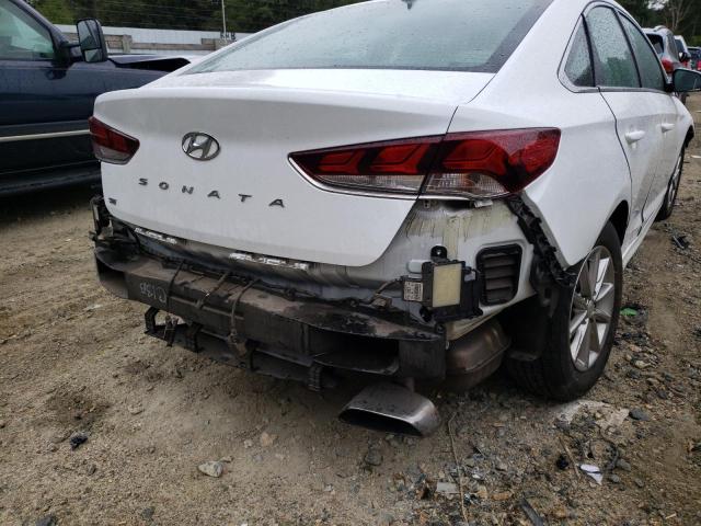 Photo 8 VIN: 5NPE24AFXKH796207 - HYUNDAI SONATA SE 