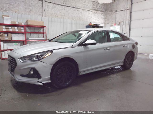 Photo 1 VIN: 5NPE24AFXKH799110 - HYUNDAI SONATA 