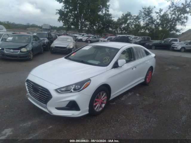 Photo 1 VIN: 5NPE24AFXKH818917 - HYUNDAI SONATA 