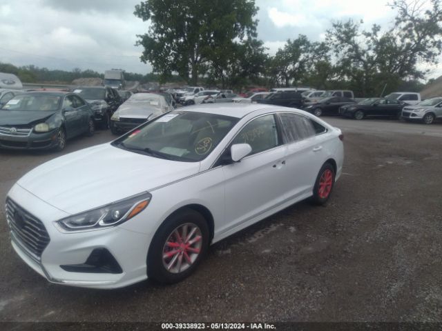 Photo 5 VIN: 5NPE24AFXKH818917 - HYUNDAI SONATA 