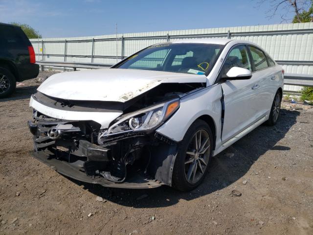 Photo 1 VIN: 5NPE34AB0FH069366 - HYUNDAI SONATA SPO 