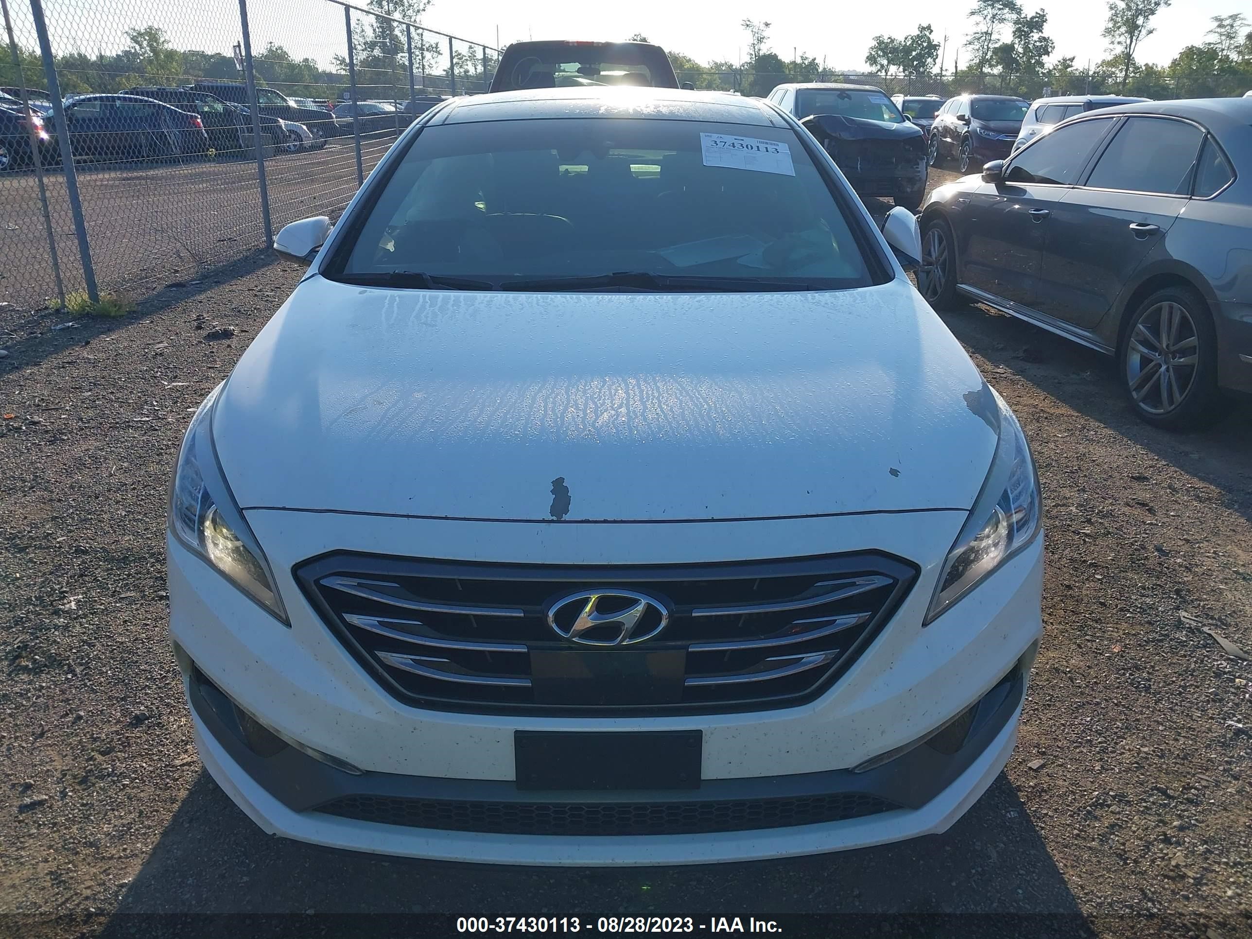 Photo 11 VIN: 5NPE34AB1HH499166 - HYUNDAI SONATA 