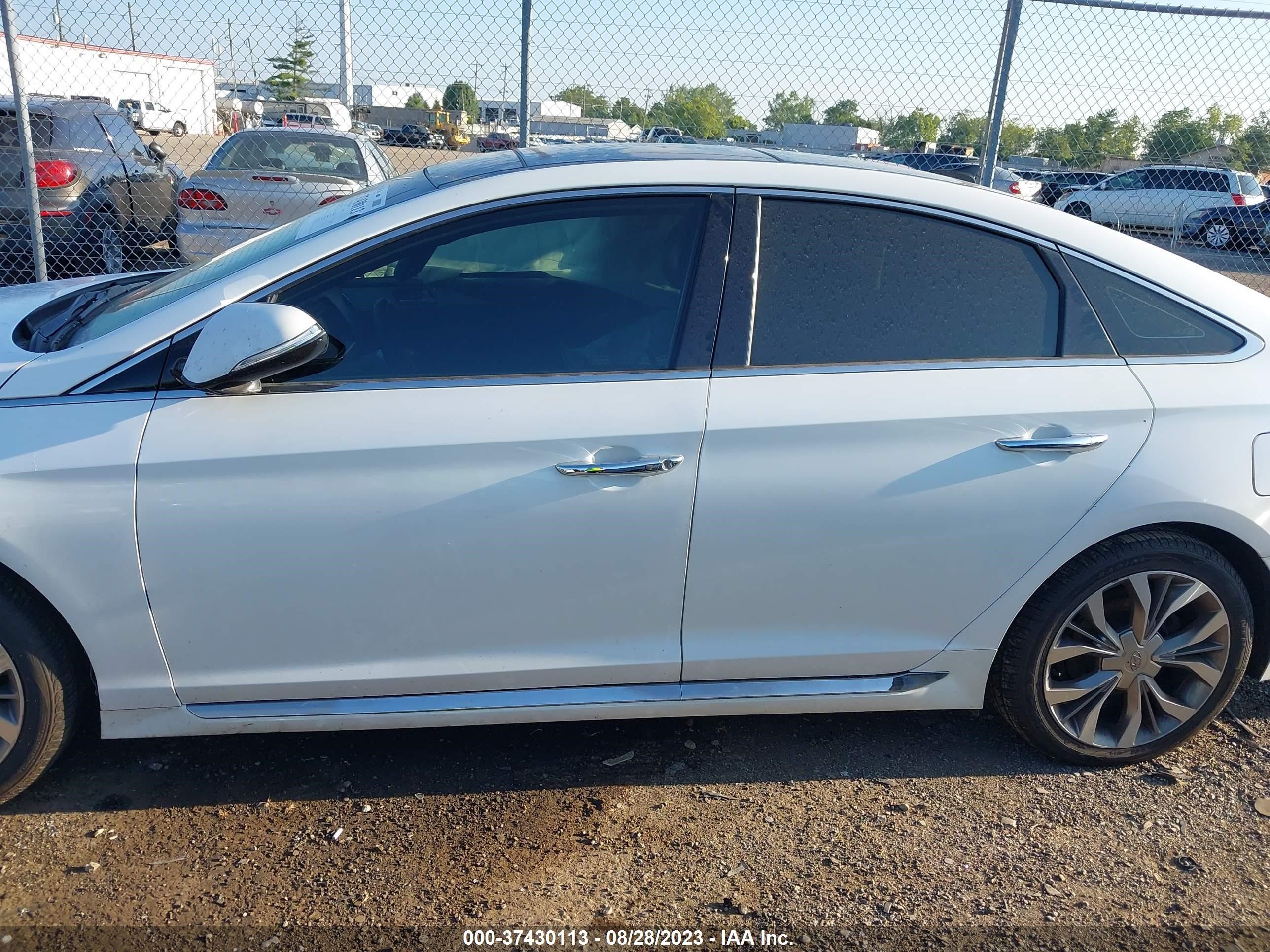 Photo 13 VIN: 5NPE34AB1HH499166 - HYUNDAI SONATA 