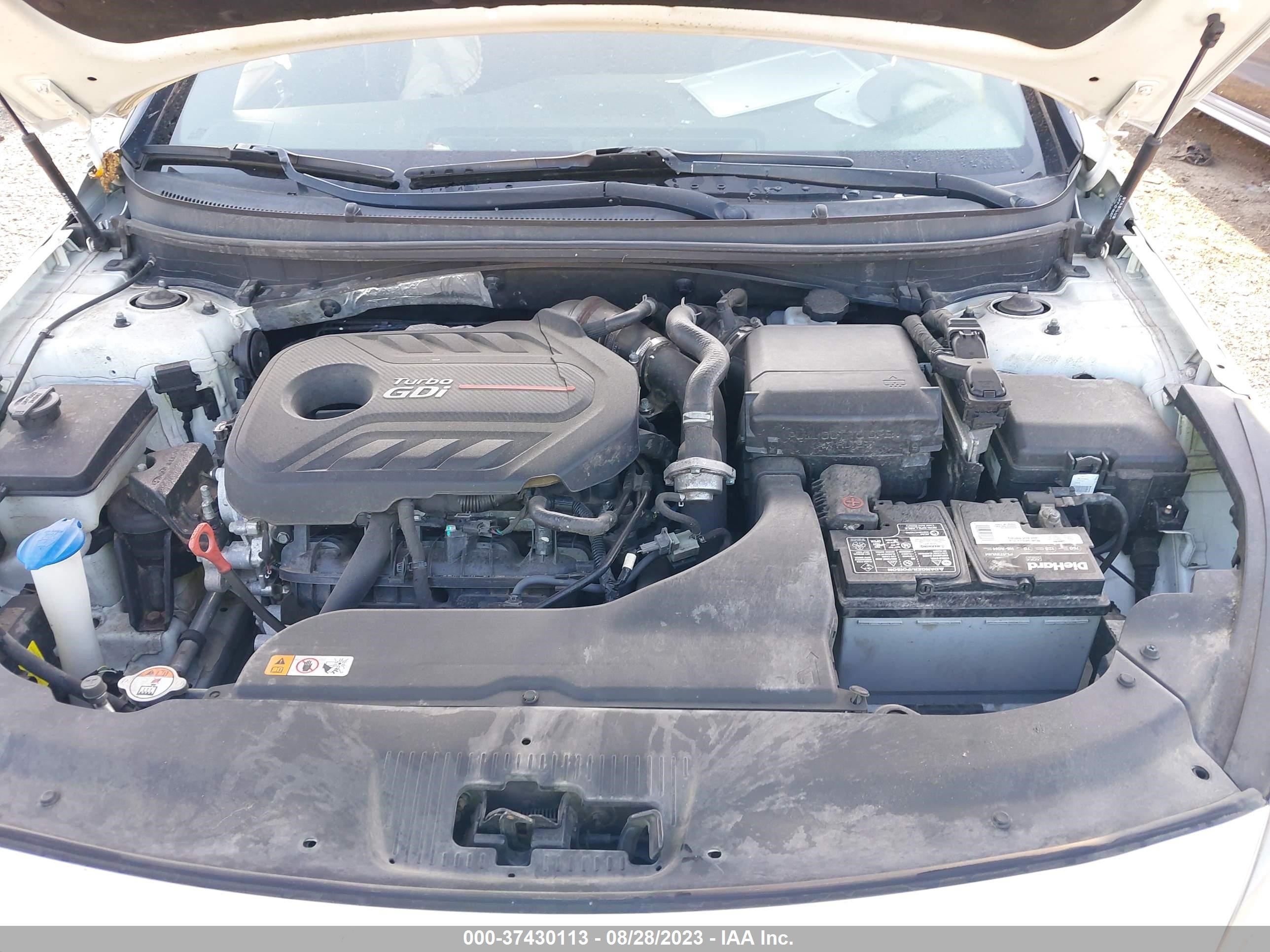 Photo 9 VIN: 5NPE34AB1HH499166 - HYUNDAI SONATA 