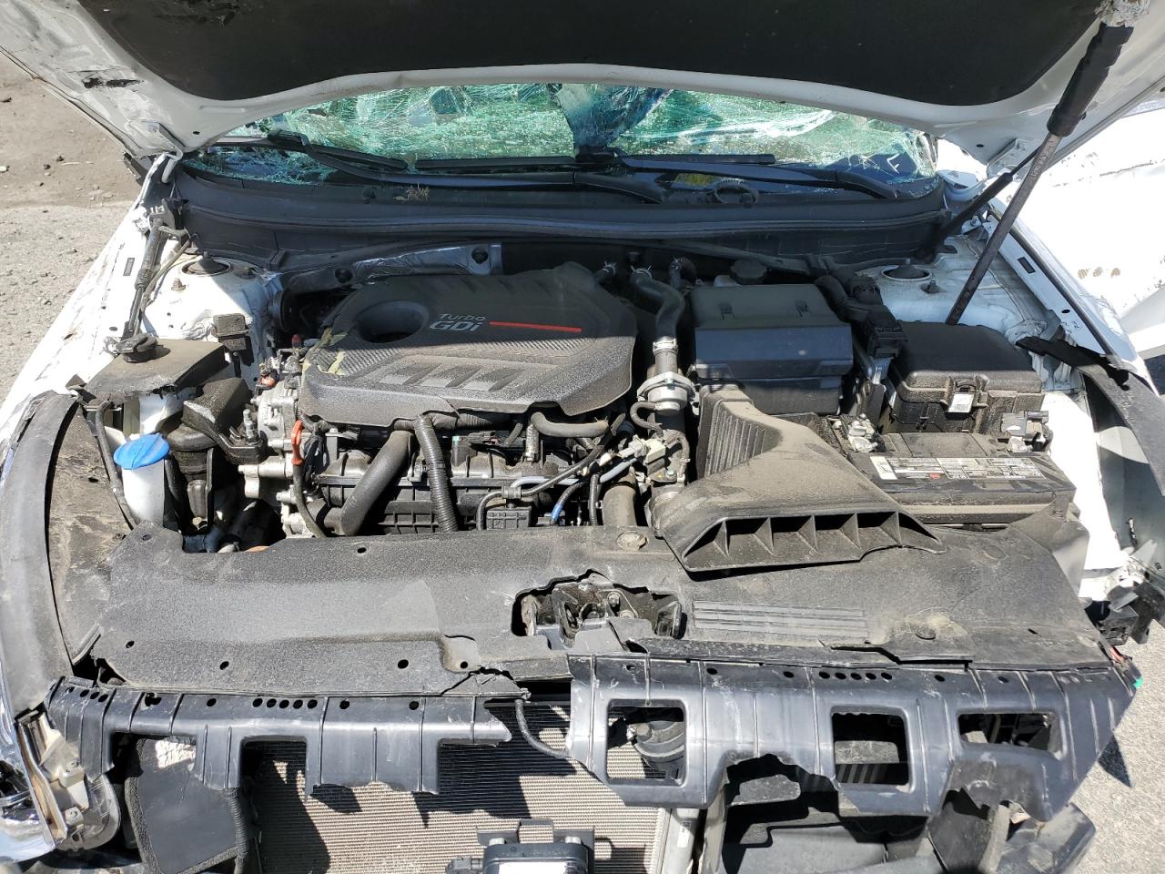 Photo 10 VIN: 5NPE34AB2JH631163 - HYUNDAI SONATA 