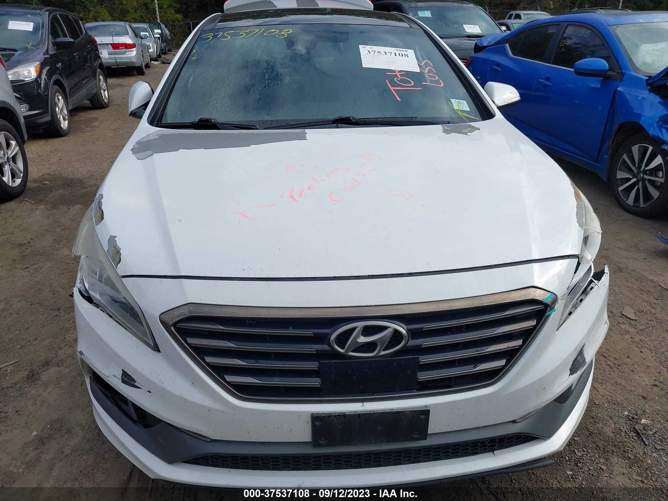 Photo 11 VIN: 5NPE34AB3FH180381 - HYUNDAI SONATA 