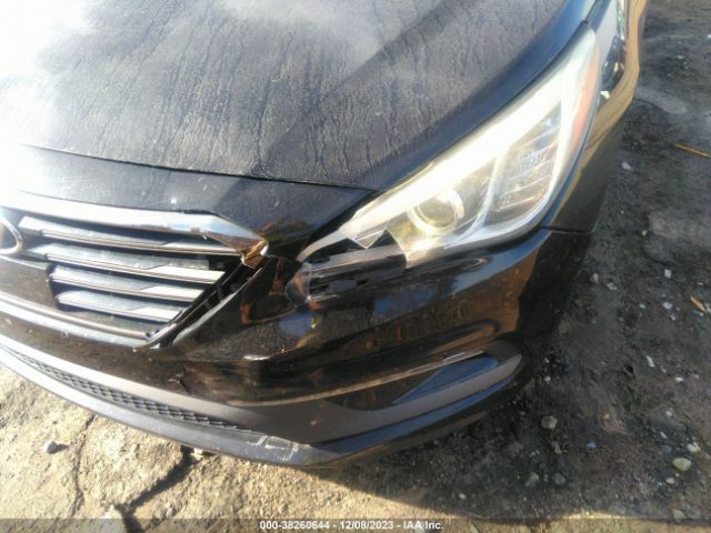 Photo 5 VIN: 5NPE34AB4FH112445 - HYUNDAI SONATA 