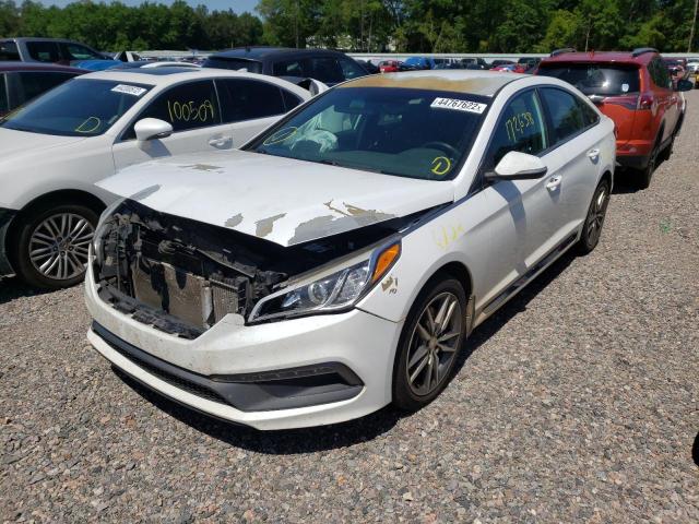 Photo 1 VIN: 5NPE34AB7HH506377 - HYUNDAI SONATA SPO 