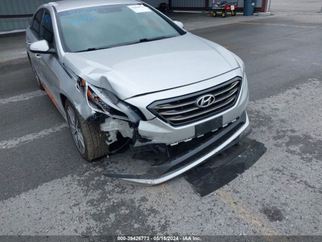 Photo 5 VIN: 5NPE34AB7HH534518 - HYUNDAI SONATA 