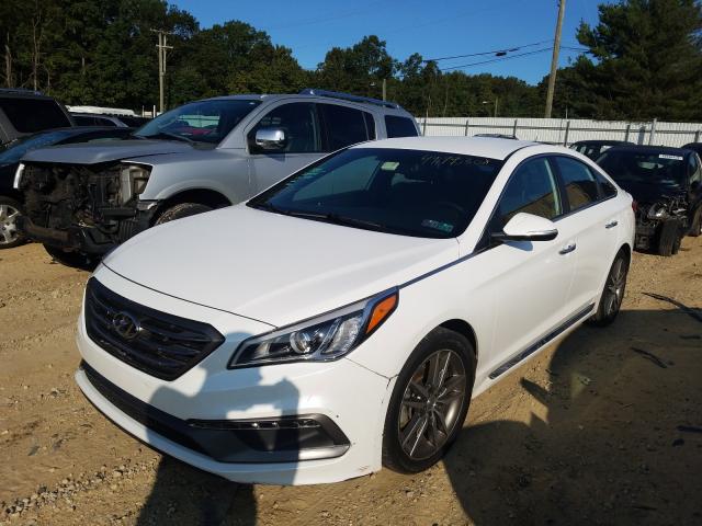 Photo 1 VIN: 5NPE34ABXFH094422 - HYUNDAI SONATA SPO 