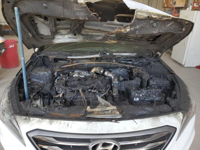 Photo 10 VIN: 5NPE34ABXHH447602 - HYUNDAI SONATA SPO 