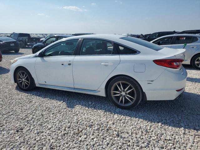 Photo 1 VIN: 5NPE34ABXHH498159 - HYUNDAI SONATA SPO 