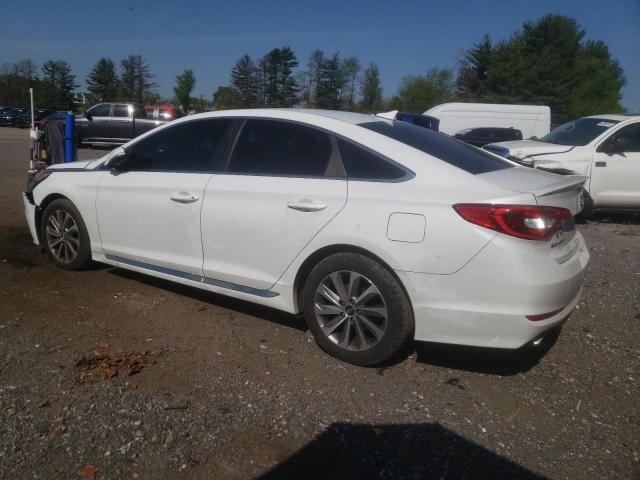 Photo 1 VIN: 5NPE34AF0GH316454 - HYUNDAI SONATA SPO 