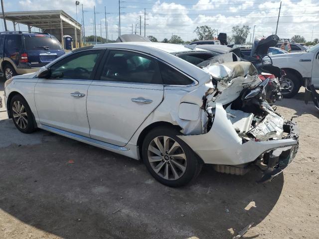 Photo 1 VIN: 5NPE34AF0GH325560 - HYUNDAI SONATA SPO 