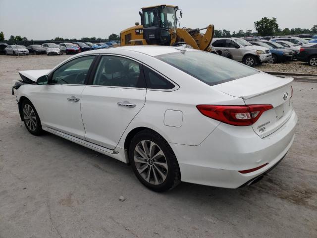 Photo 1 VIN: 5NPE34AF0GH345520 - HYUNDAI SONATA SPO 