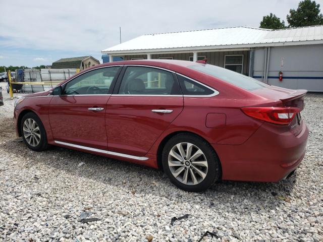 Photo 1 VIN: 5NPE34AF0GH425254 - HYUNDAI SONATA SPO 