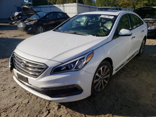 Photo 1 VIN: 5NPE34AF0HH468123 - HYUNDAI SONATA SPO 