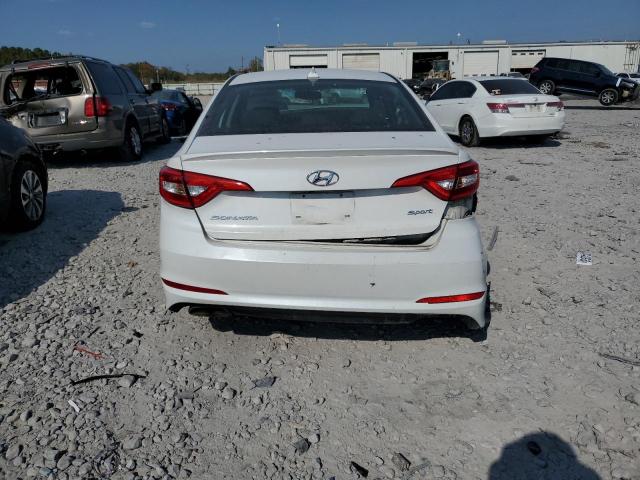 Photo 5 VIN: 5NPE34AF0HH590352 - HYUNDAI SONATA SPO 