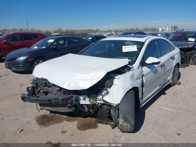 Photo 5 VIN: 5NPE34AF0KH743643 - HYUNDAI SONATA 