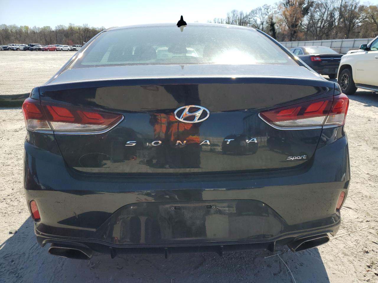 Photo 5 VIN: 5NPE34AF0KH761902 - HYUNDAI SONATA 