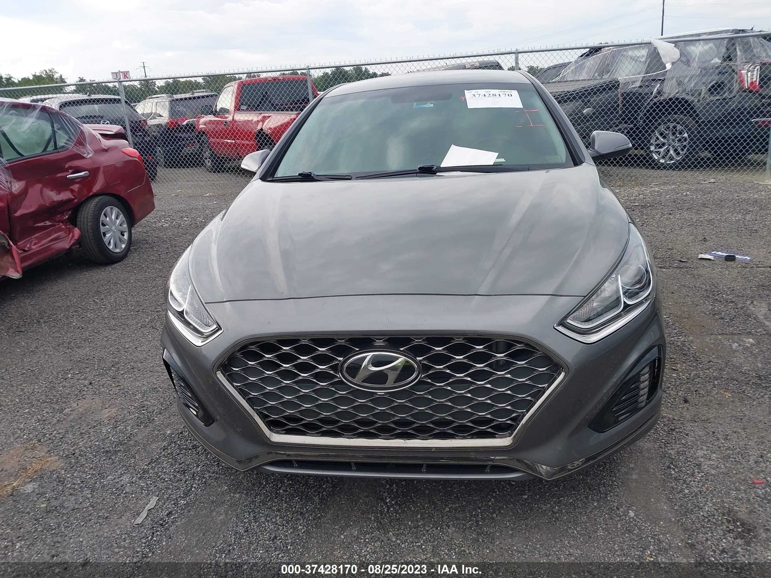 Photo 11 VIN: 5NPE34AF0KH803484 - HYUNDAI SONATA 