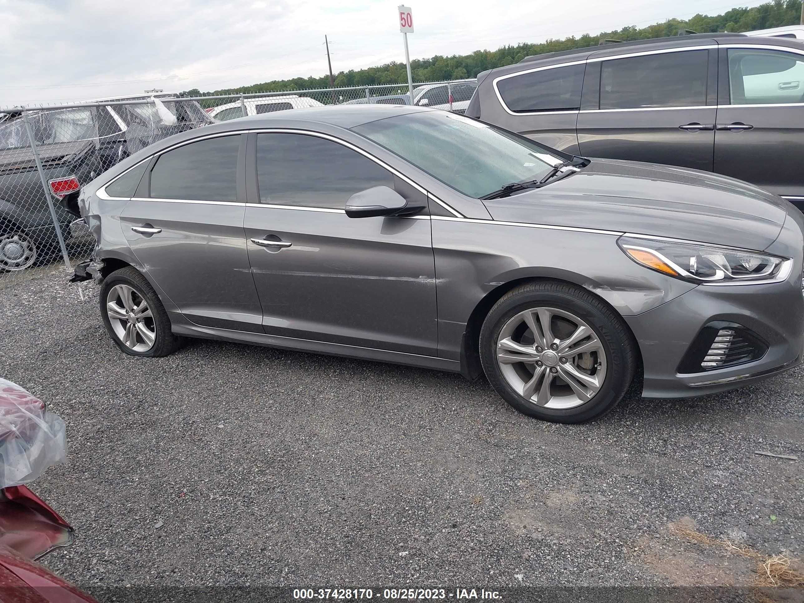 Photo 12 VIN: 5NPE34AF0KH803484 - HYUNDAI SONATA 