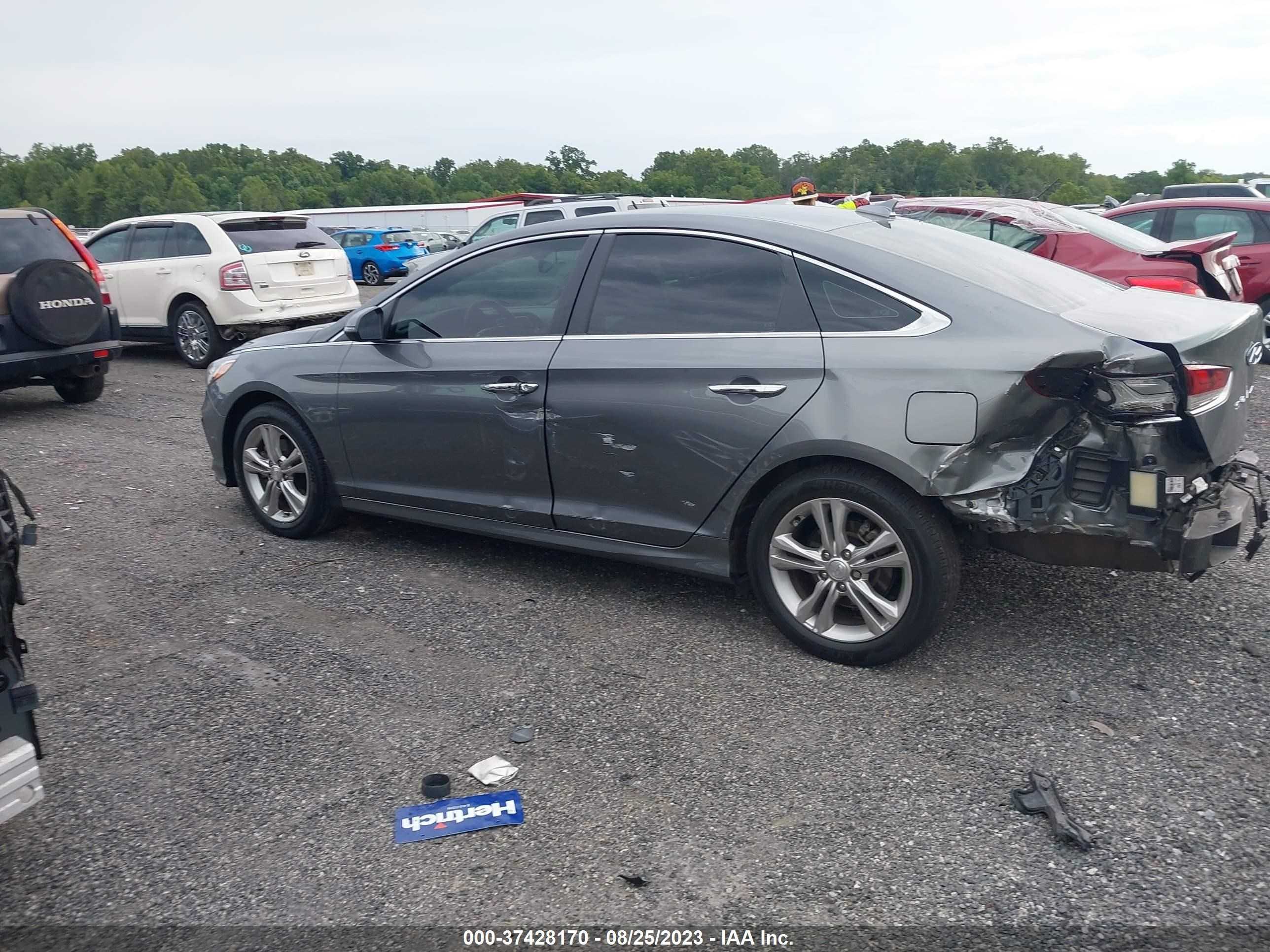 Photo 13 VIN: 5NPE34AF0KH803484 - HYUNDAI SONATA 