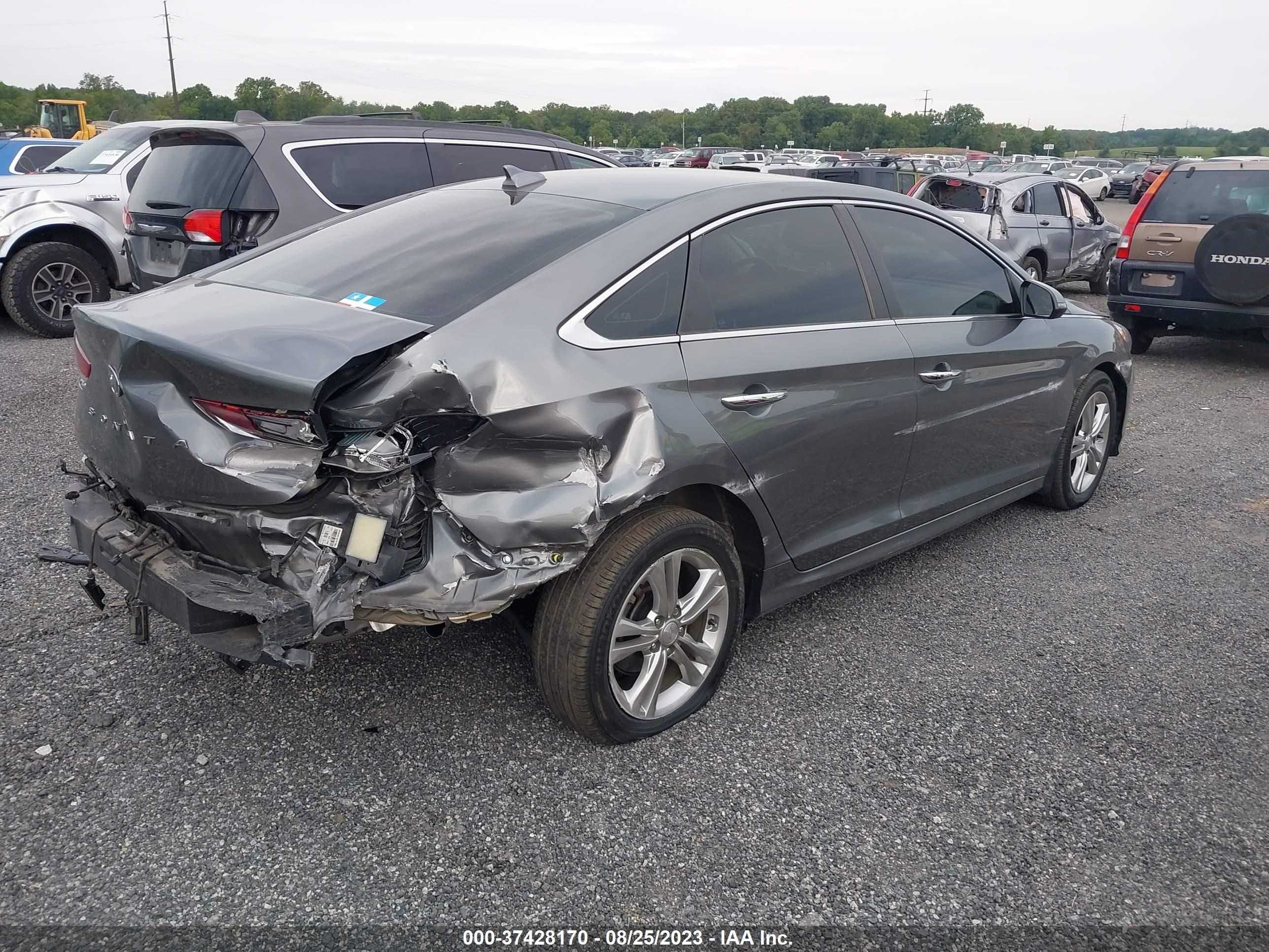 Photo 3 VIN: 5NPE34AF0KH803484 - HYUNDAI SONATA 