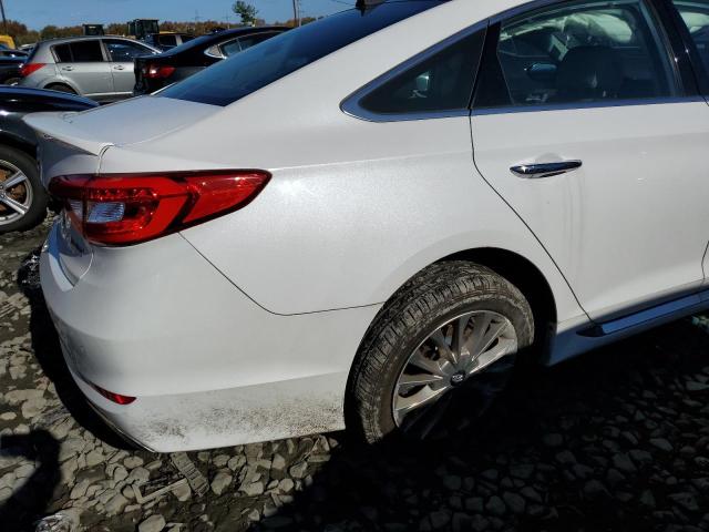 Photo 8 VIN: 5NPE34AF1FH033737 - HYUNDAI SONATA SPO 