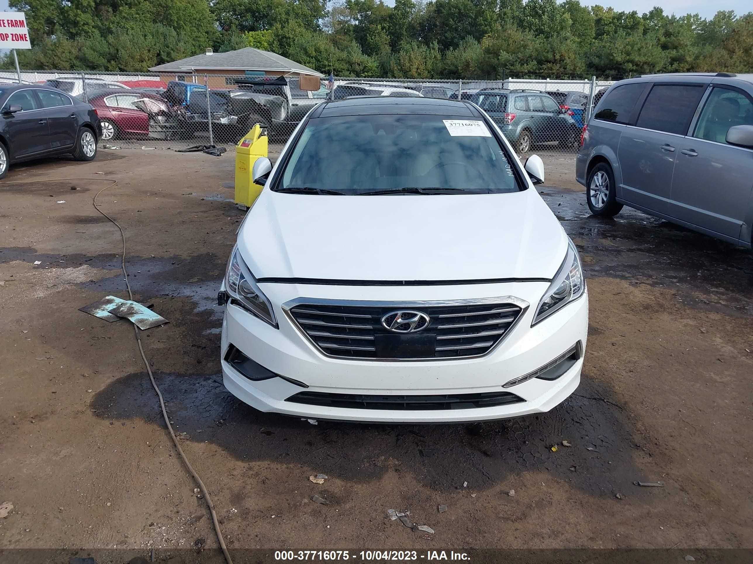 Photo 11 VIN: 5NPE34AF1FH105245 - HYUNDAI SONATA 